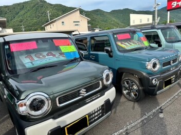 特撰中古車！